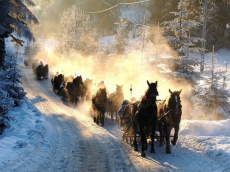 KRYNICA ZDR�J wypoczynek w Polsce turystyka polska g�ry beskidy Beskid S�decki